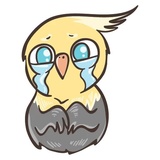 Chii Parrot WhatsApp Sticker #14