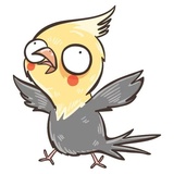 Chii Parrot WhatsApp Sticker #15