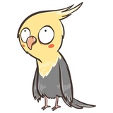 Chii Parrot WhatsApp Sticker #17