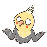 Chii Parrot WhatsApp Sticker #2