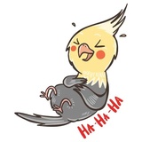 Chii Parrot WhatsApp Sticker #20