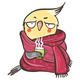 Chii Parrot WhatsApp Sticker #21