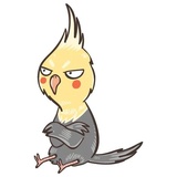 Chii Parrot WhatsApp Sticker #24