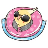 Chii Parrot WhatsApp Sticker #25
