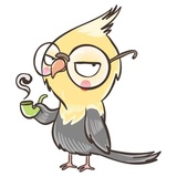Chii Parrot WhatsApp Sticker #26