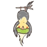 Chii Parrot WhatsApp Sticker #28