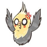 Chii Parrot WhatsApp Sticker #29