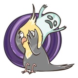 Chii Parrot WhatsApp Sticker #3