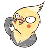 Chii Parrot WhatsApp Sticker #30