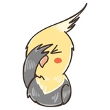 Chii Parrot WhatsApp Sticker #4