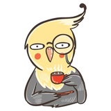 Chii Parrot WhatsApp Sticker #5