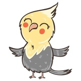 Chii Parrot WhatsApp Sticker #6