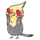 Chii Parrot WhatsApp Sticker #7