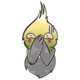 Chii Parrot WhatsApp Sticker #8